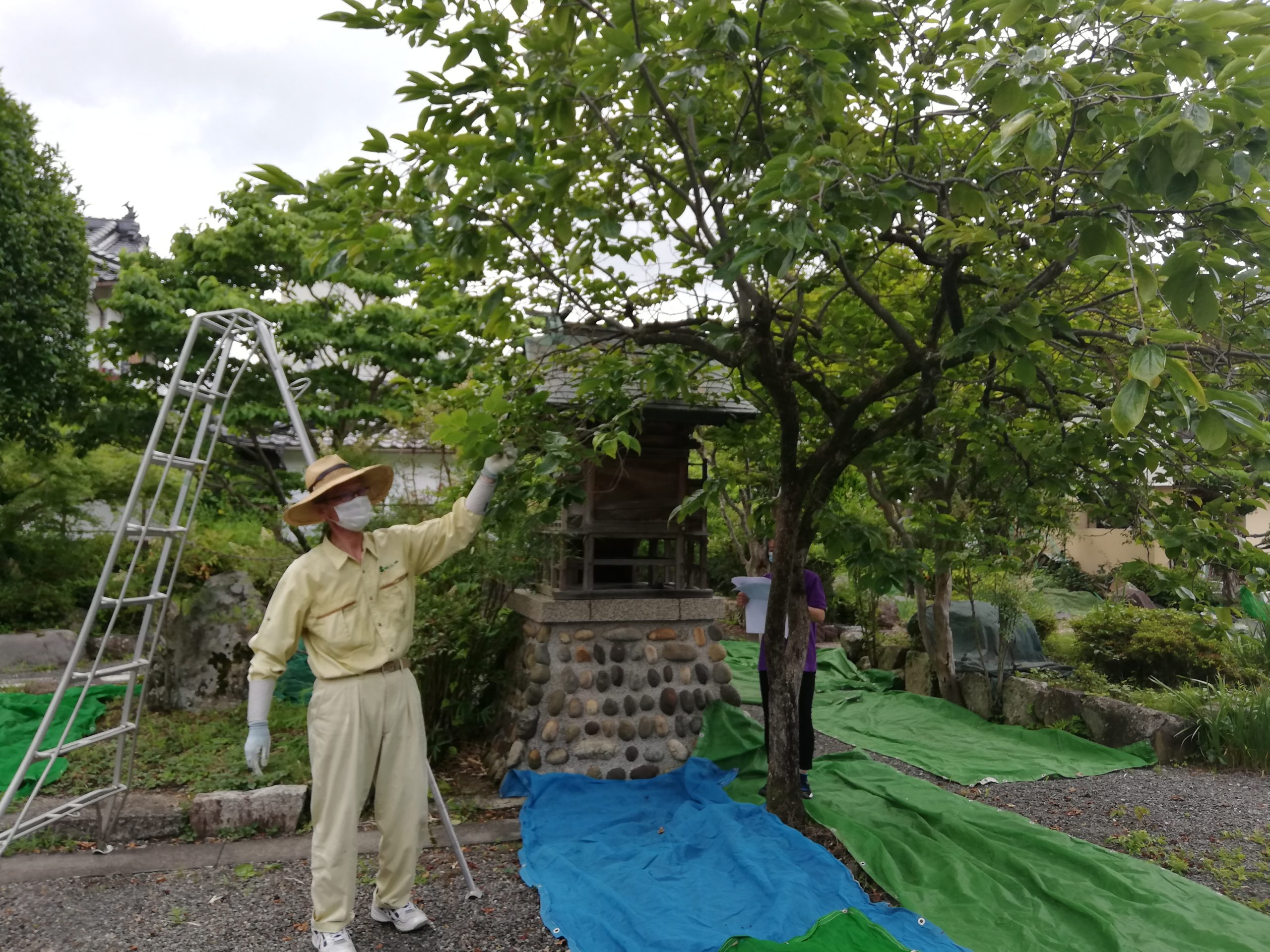 匠の学校 庭木の剪定講座 を開催しました 上下天領ツーリズム 広島県府中市上下町の観光情報